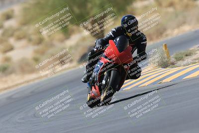 media/May-14-2023-SoCal Trackdays (Sun) [[024eb53b40]]/Turn 5 Tree of Life (1125am)/